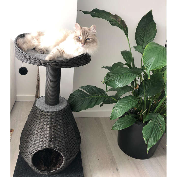 EBI Kratzbaum Trend Elegance Sublime